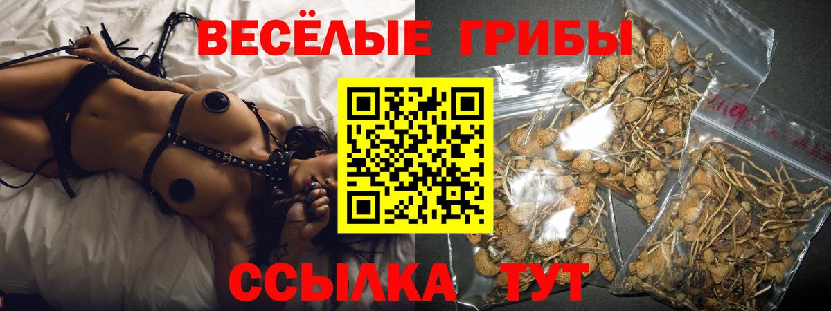 Псилоцибиновые грибы Psilocybine cubensis  Вход с VPN  Владикавказ 