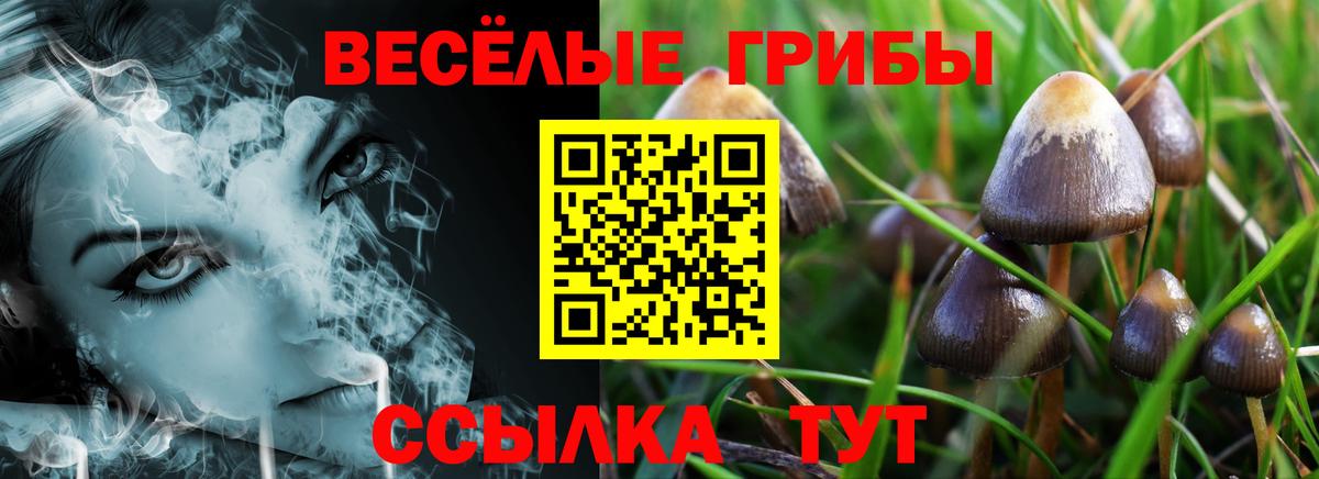 Галлюциногенные грибы Cubensis Владикавказ